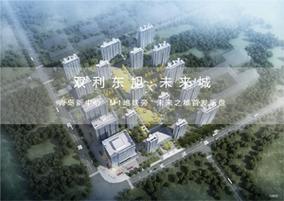 双利东旭未来城户型配套解读